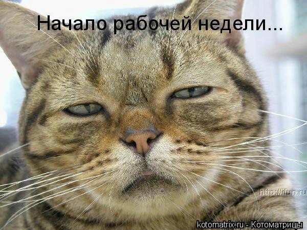 http://smeshnye-foto.narod.ru/yumor-foto-anekdoty-.jpg